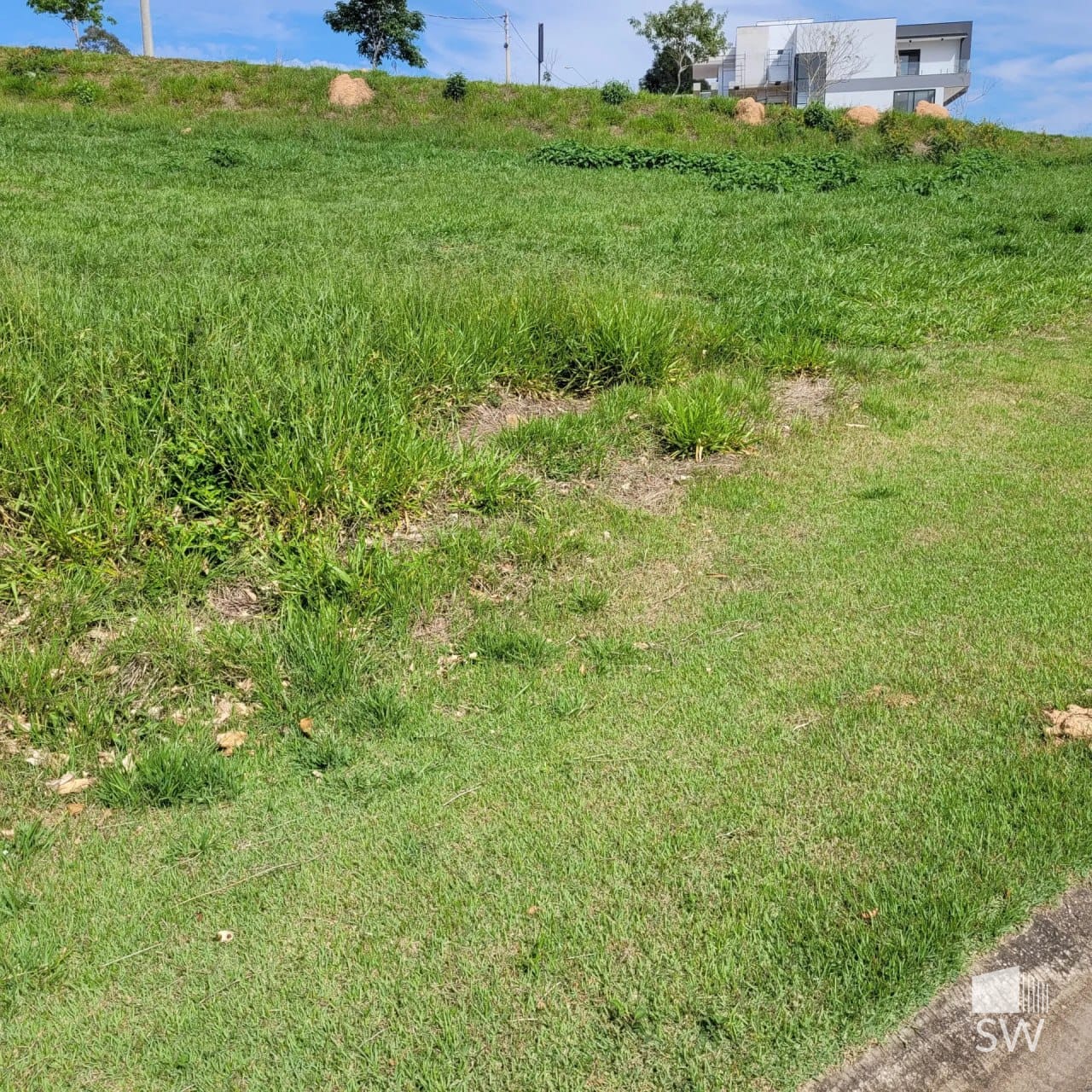 Vista do lote