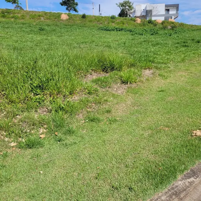 Vista do lote