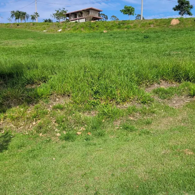 Vista do lote